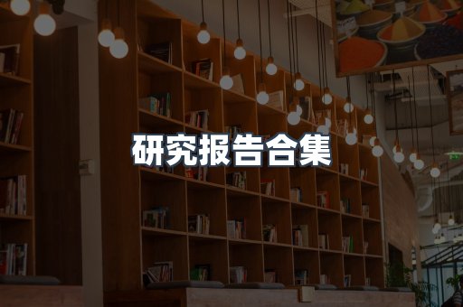 研究报告合集